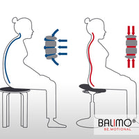 BALIMO »ASSIST ROLL«